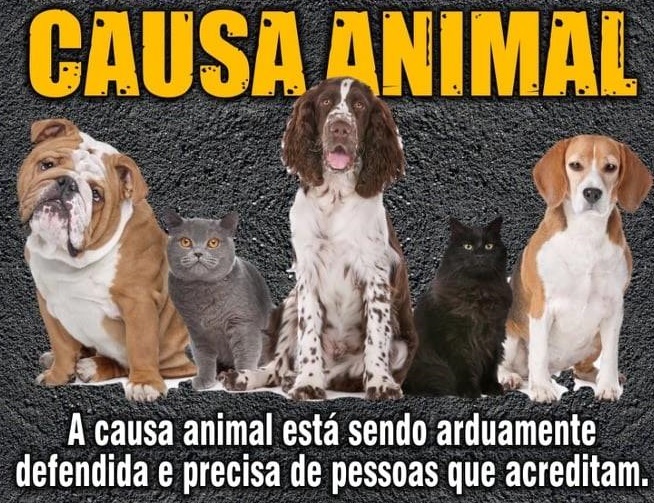 Prefeito Do Município de Brejo do Cruz-PB, AUTORIZA EUTANÁSIA em Animais !!!!